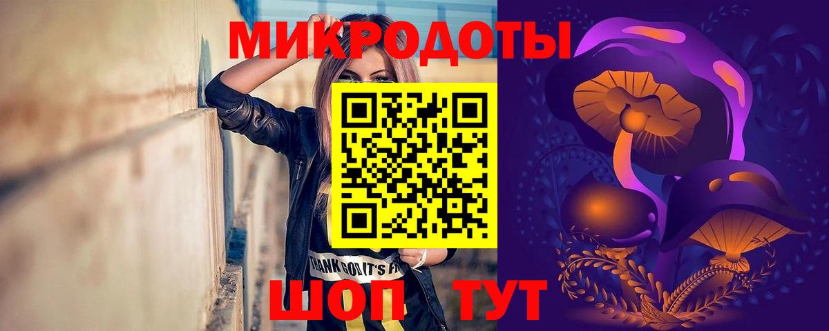Славянск-на-Кубани  Псилоцибиновые грибы Psilocybe  хочу   Вход с VPN 
